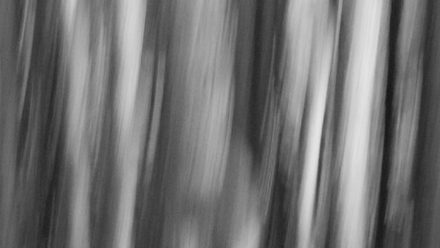 21234274-f648-49d3-b115-c3cae087f337