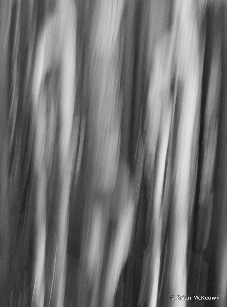 21234274-f648-49d3-b115-c3cae087f337