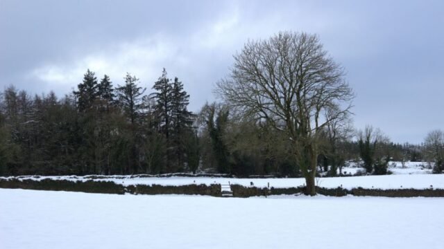 2_N_Weather-Snow-1