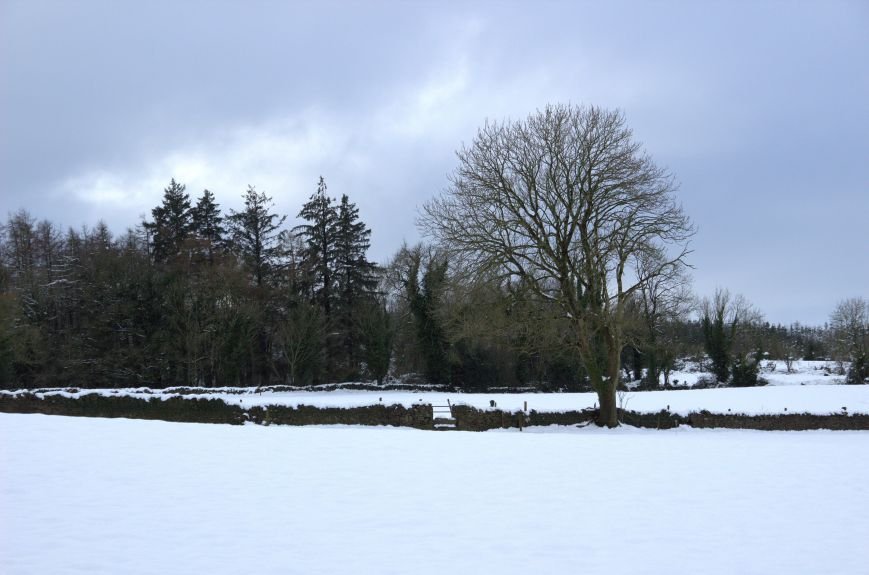 2_N_Weather-Snow-1