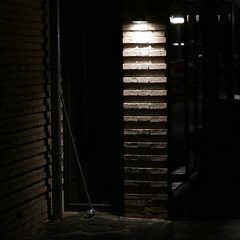 50844218028_d7942c99a9_m