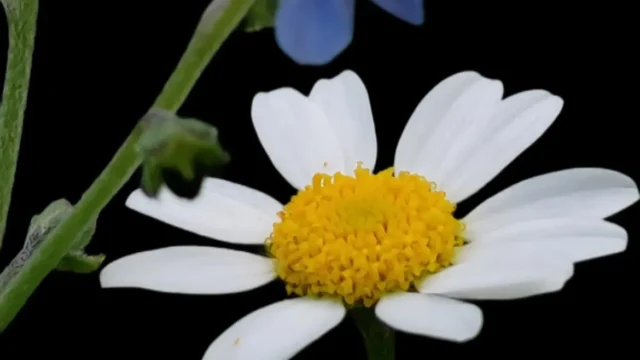 655164839_18096882752066336_3500186115277949763_n