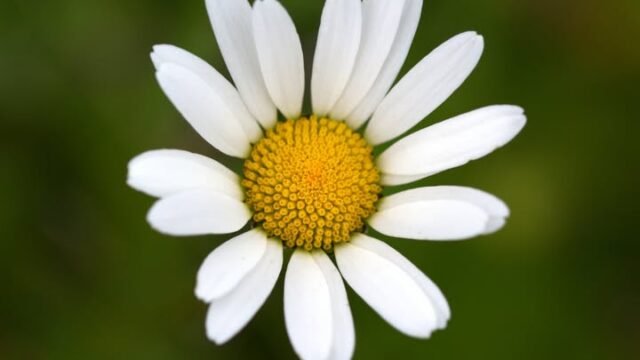 738235954_1857184792352008_6126985860487242219_n