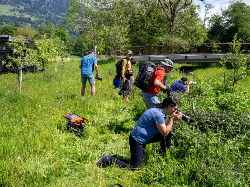 Bernhart+Erich_Thüringer+Weiher+(29+von+39)