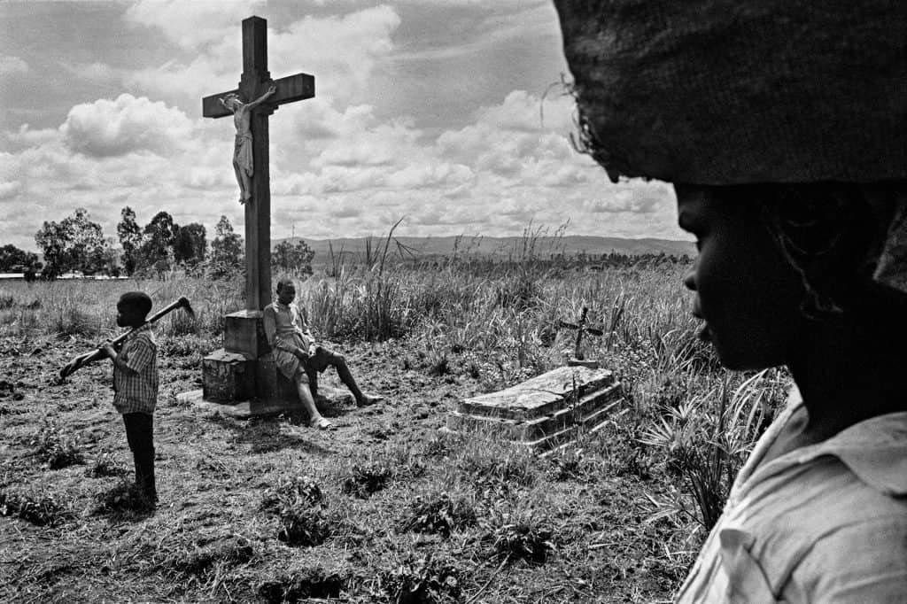 CongoinLimbo-1-1024×682