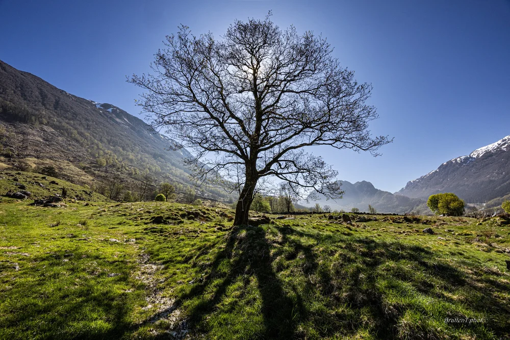 Foto_+Tore+Bratten