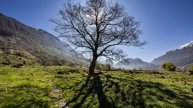 Foto_+Tore+Bratten