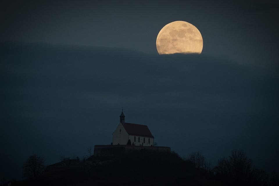 Gerhard_Mond