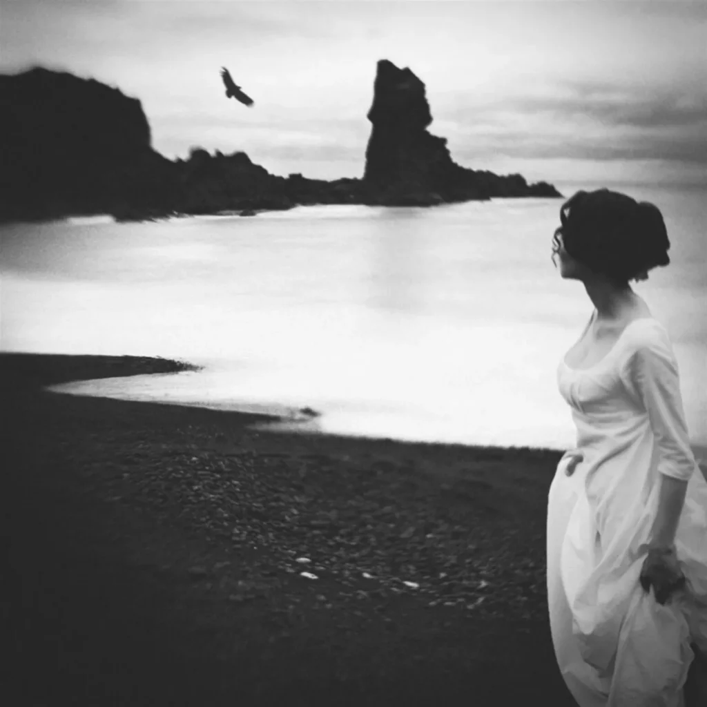 TKK-gull-Looking-Back-Igor-Kostin-Bodo-Fotoklubb-1024×1024