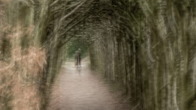 Wim Dunning
