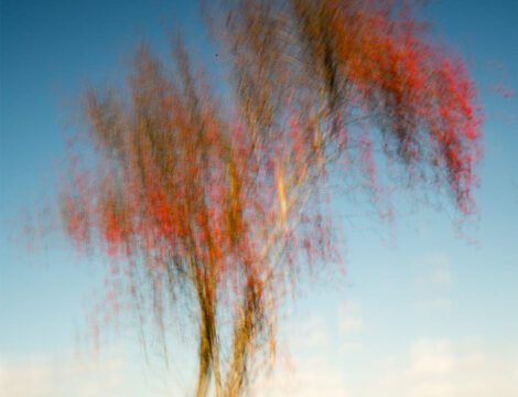 Wim Dunning