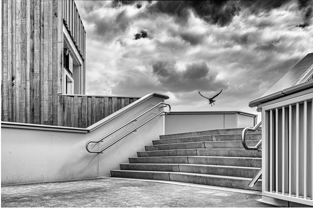 avg3