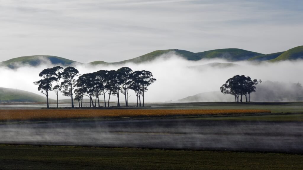 dampendeochtend-1024×576
