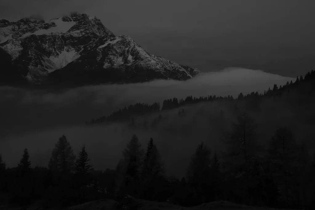 _dsc1584