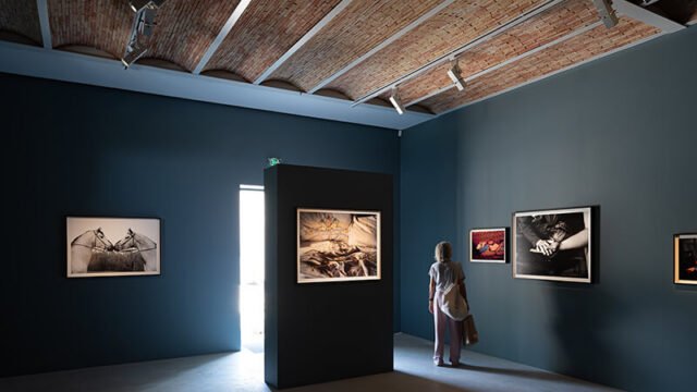 exhibition_MARY-MC-CARTNEY-CLC-DSC03539