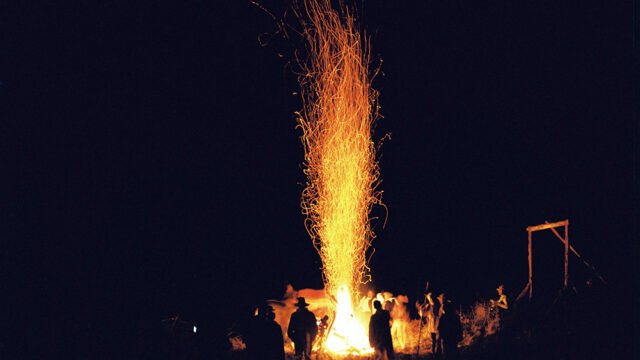 foc_Bego-Anton