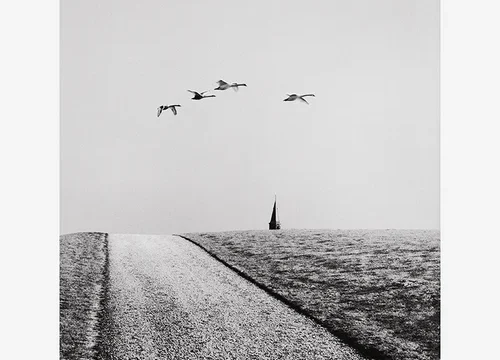 friesland_special_edition