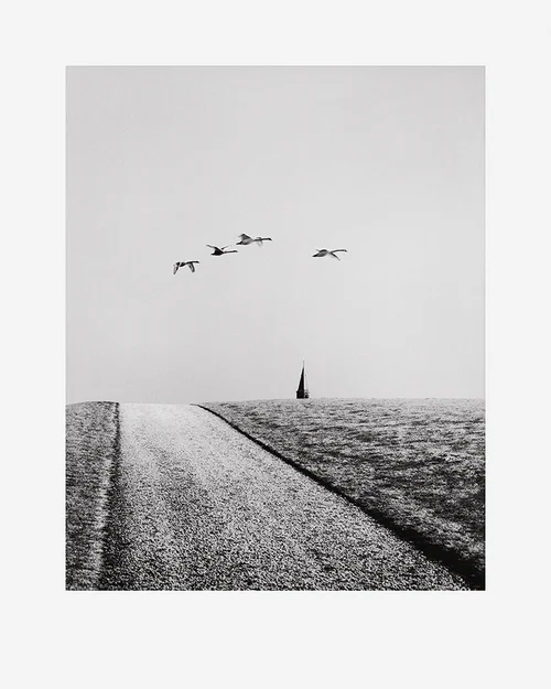friesland_special_edition
