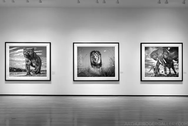 gallery