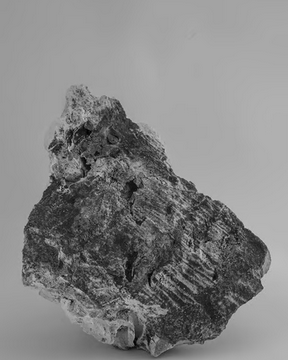 georgio