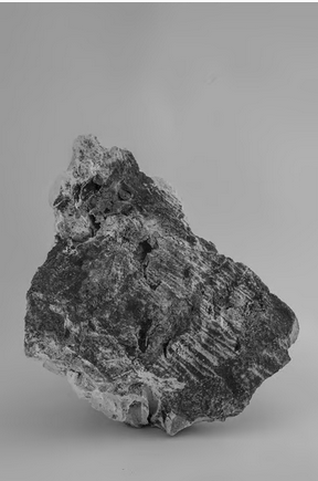 georgio