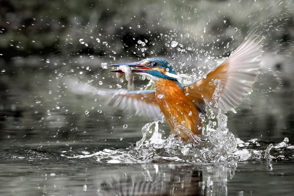 image1001362
