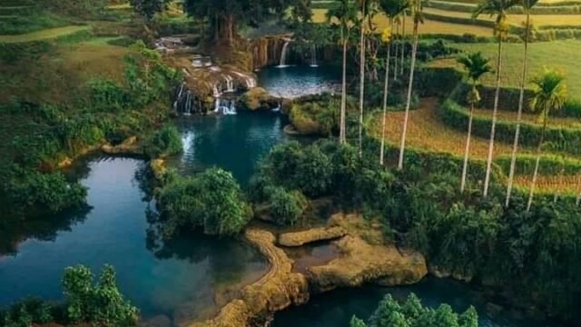 nature
