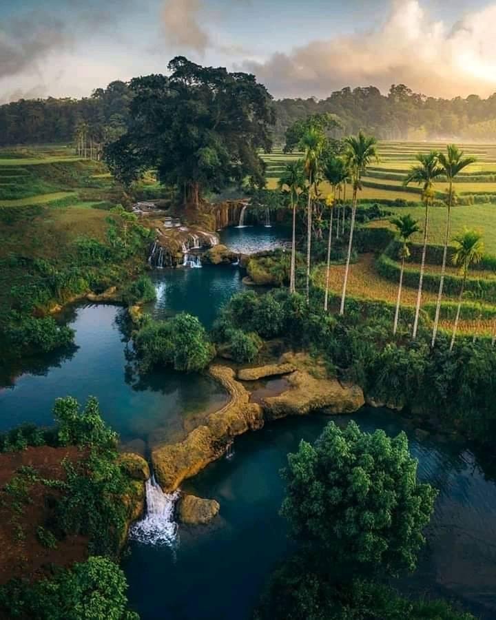 nature