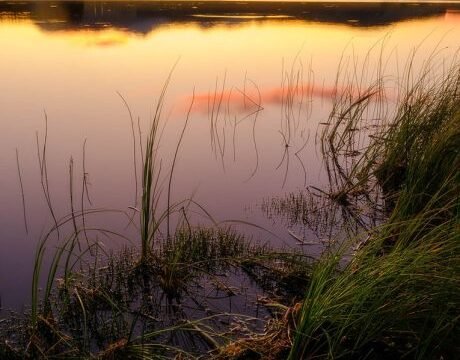 photo-home-APCA_03-rbcjblqup1ioki4vzm9lv7kehxr5c3d0zy1c2fsoru