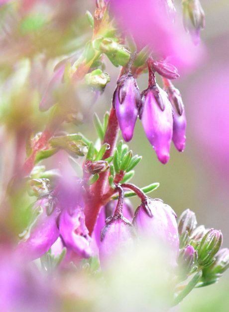 photo-home-APCA_07-rbcjbpi7gdntuxzfdnw456m8vh8m6vrycgn9zjn42y