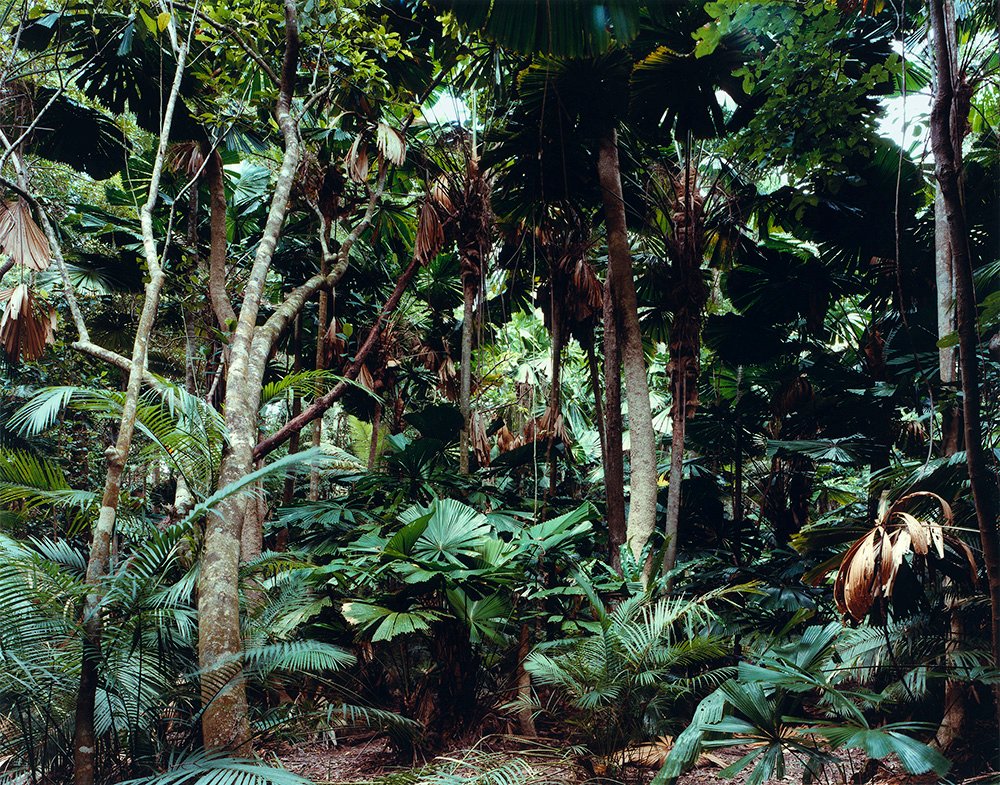 struth-07281-paradise-02