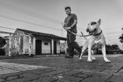 thumb_230_962