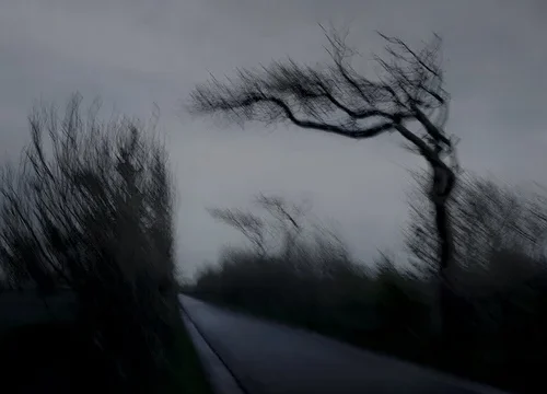 zeelandB0005670DEFENITIEF_RET