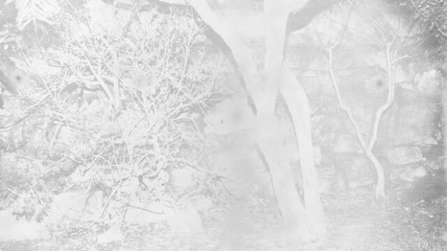 001.jpg__782x520_q85_subsampling-2