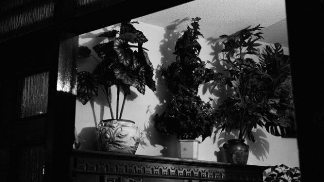 008.jpg__782x520_q85_subsampling-2