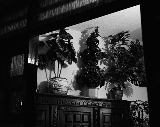 008.jpg__782x520_q85_subsampling-2