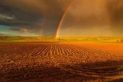 Fields-of-Battle-Lands-of-Peace-04-252×168