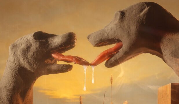 Fox-Heads-Latex-Tongues-Saliva_2-618×464-cc
