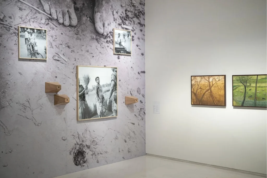 IND_1124_EMAMI_ART_SALTY_EARTH_02_web