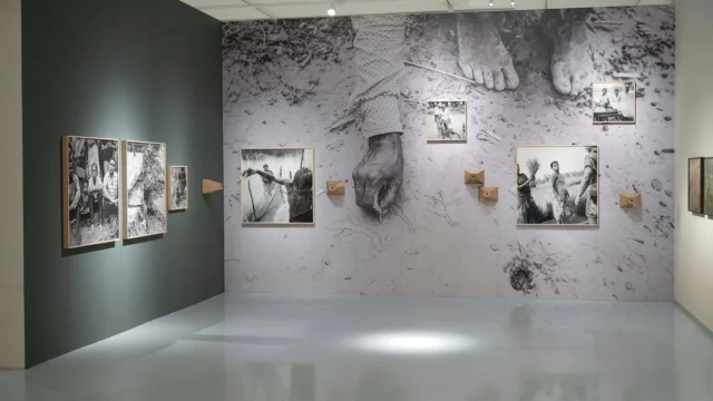 IND_1124_EMAMI_ART_SALTY_EARTH_03_web