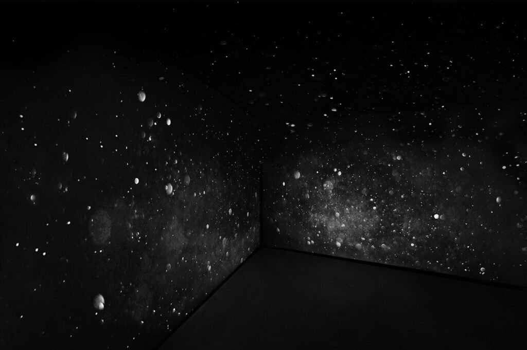 Installation view I Will_II-dd copy