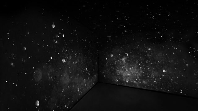 Installation view I Will_II-dd copy