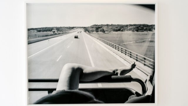 Vistas13
