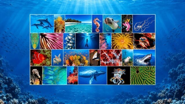 OceanwideImages-Cover7-under-512KB
