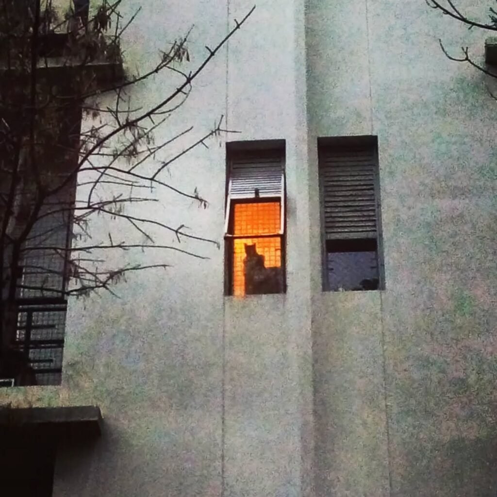 El-Observador