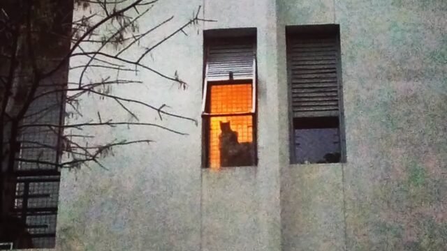 El-Observador