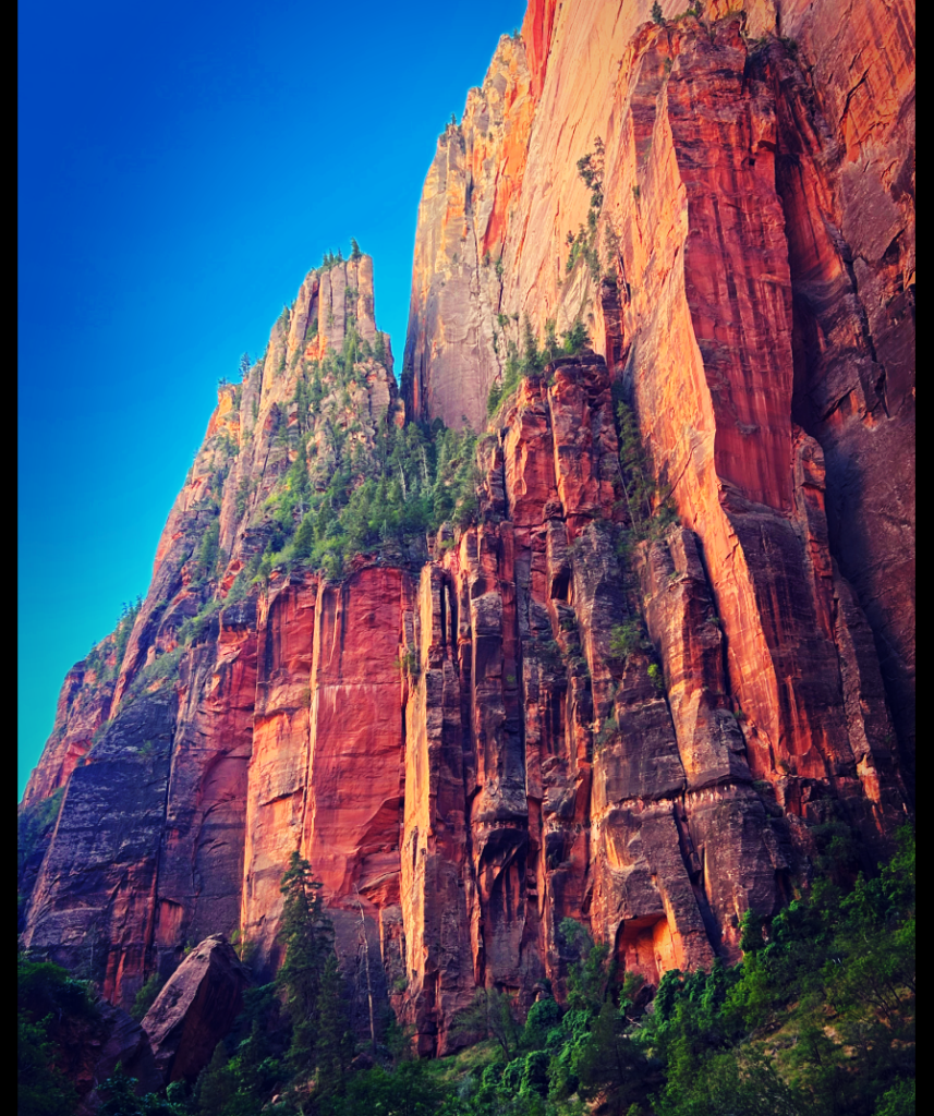 Instagram-Post-7-copy-34-fcp1