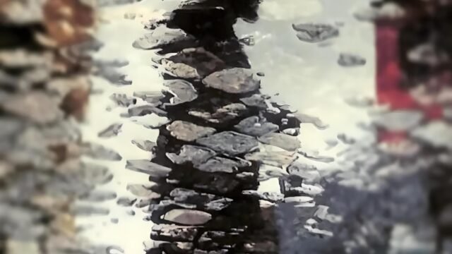 Memorias-del-Charco